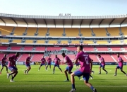 开云体育官网-阿尔艾因阵容磨合加速，迎接严峻挑战