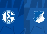 开云平台-关于沙尔克主场不敌强敌，遭遇背水一战，士气大振的信息