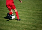 开云体育登录-塔斯马尼亚联防守体系稳固，力求半决赛再创佳绩