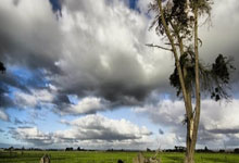 开云体育登录-蒙古运动员脱颖而出，捧杯清欢