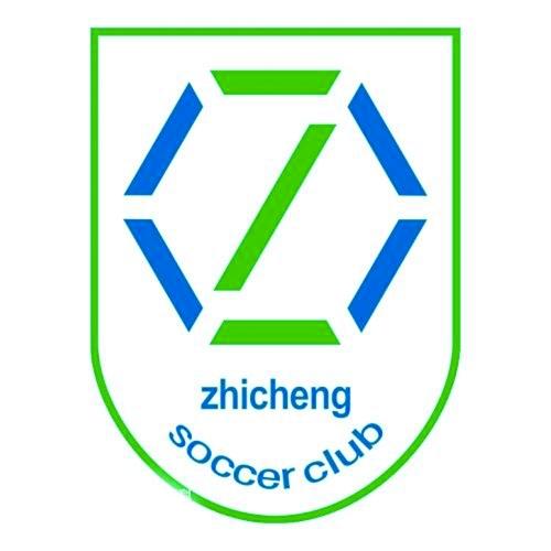 包含贵州智诚阵容积极备战，争取主场顺利过关的词条