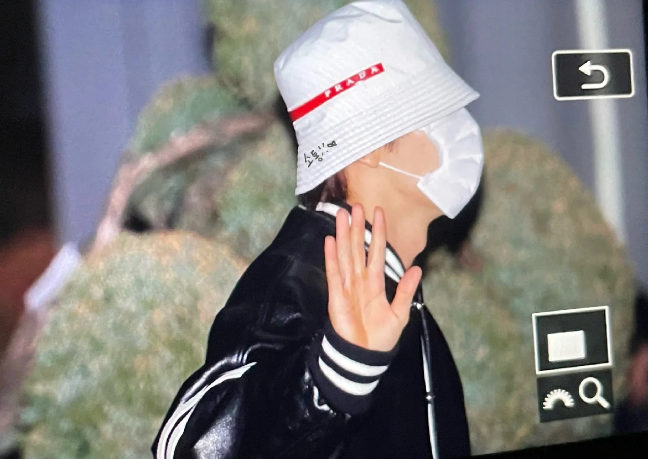 关于比利时队球员表现离谱，粉丝失望不已的信息