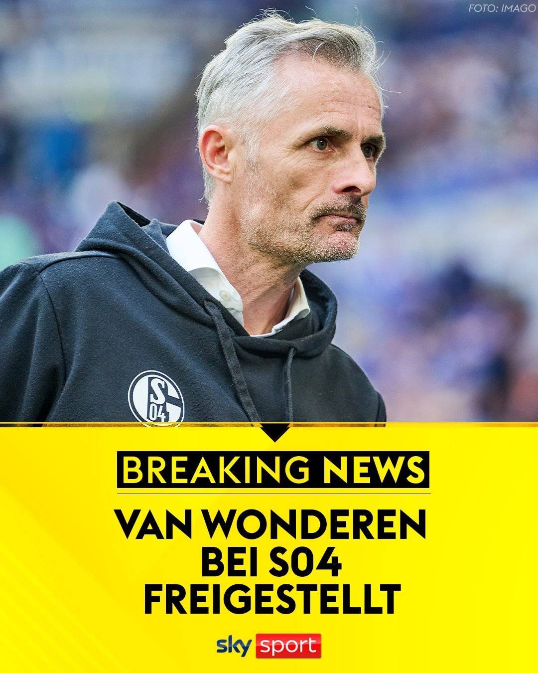 沙尔克在主场全力拼搏，成功取胜