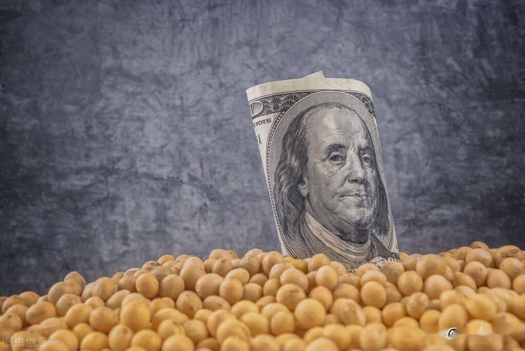 美洲强队备战新季球员状态良好