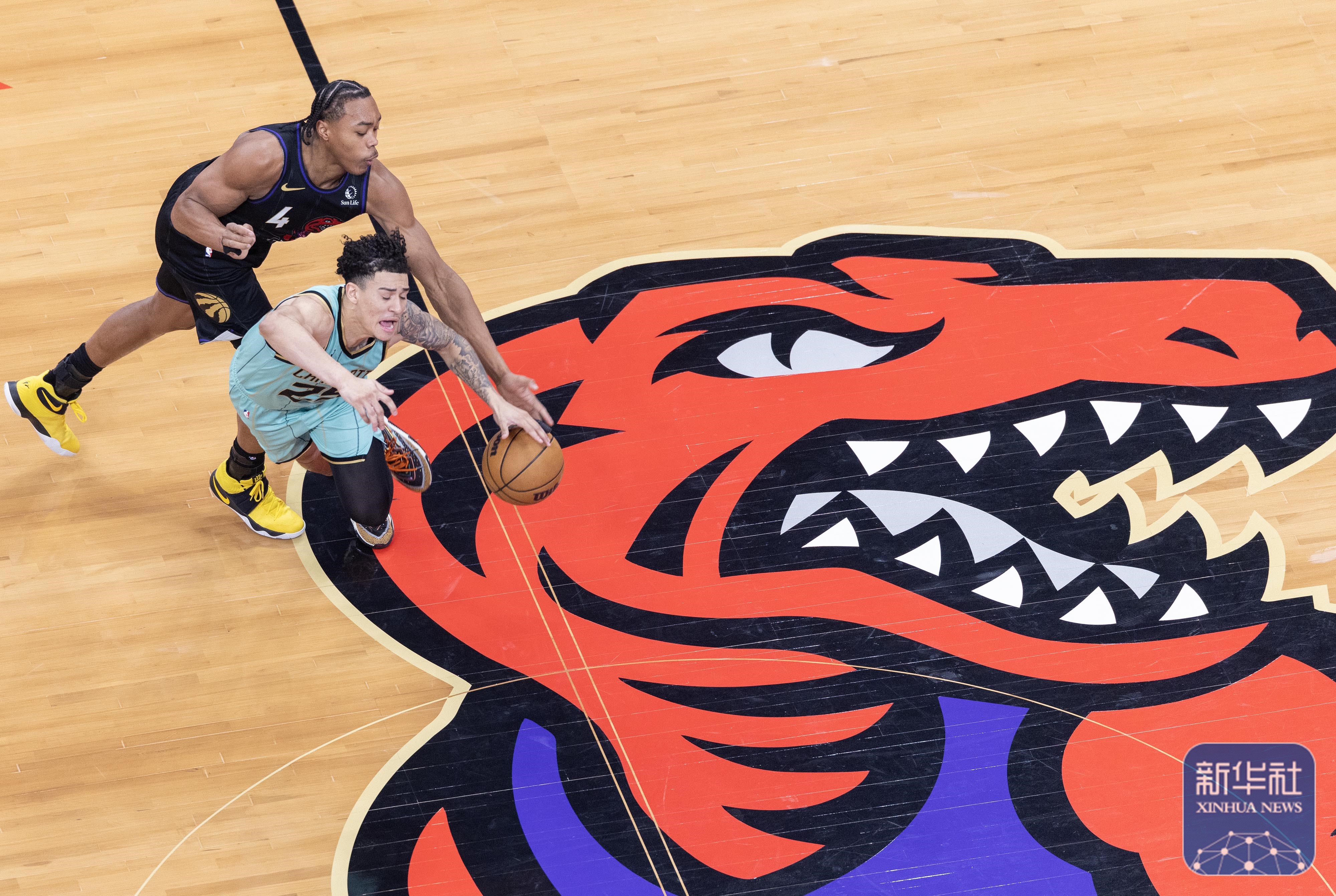 关于猛龙防守端实力突显，击败马刺收获完胜的信息