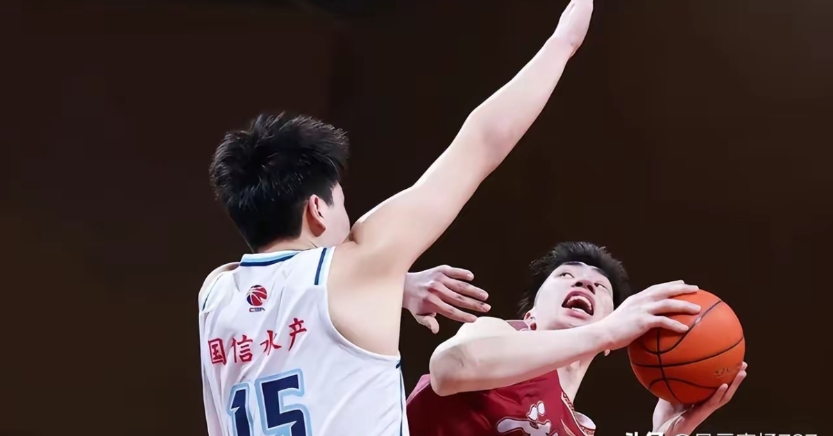 浙江队翻盘猛龙，陶汉林扛起全队