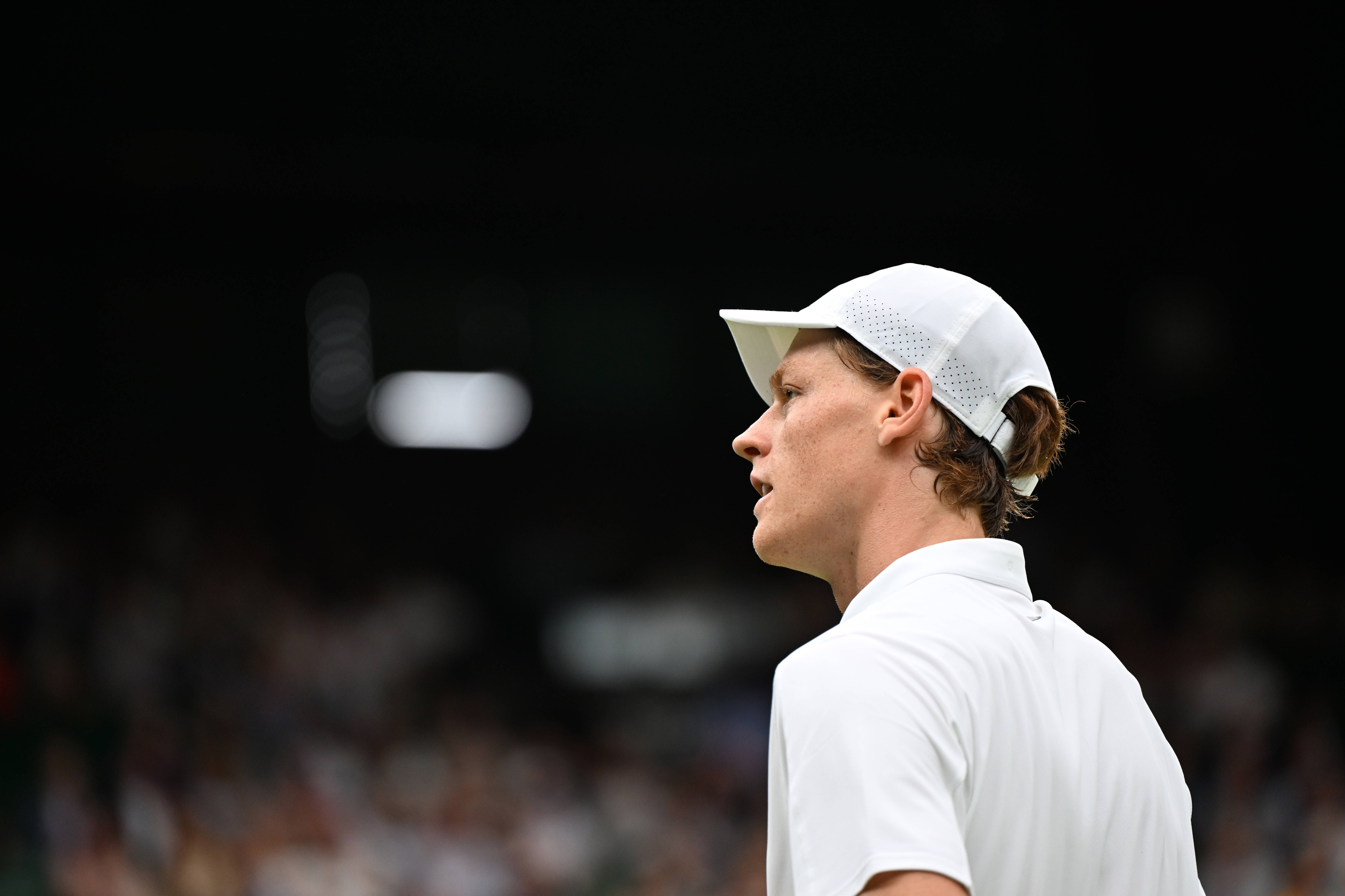 包含温网绝杀蒙特卡洛大师赛，辛纳点燃赛场的词条