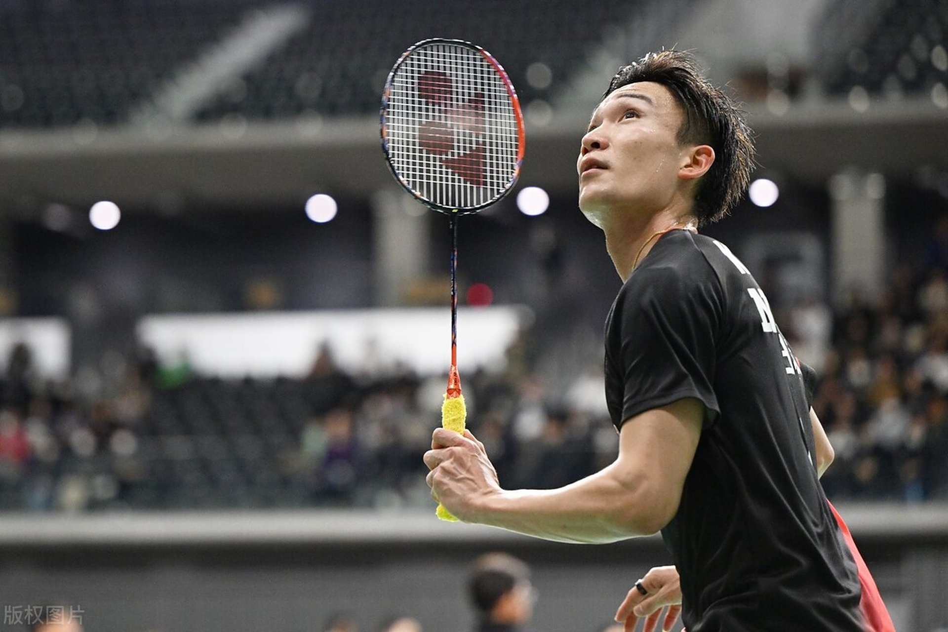 印尼队横扫日本队，桃田贤斗状态火热