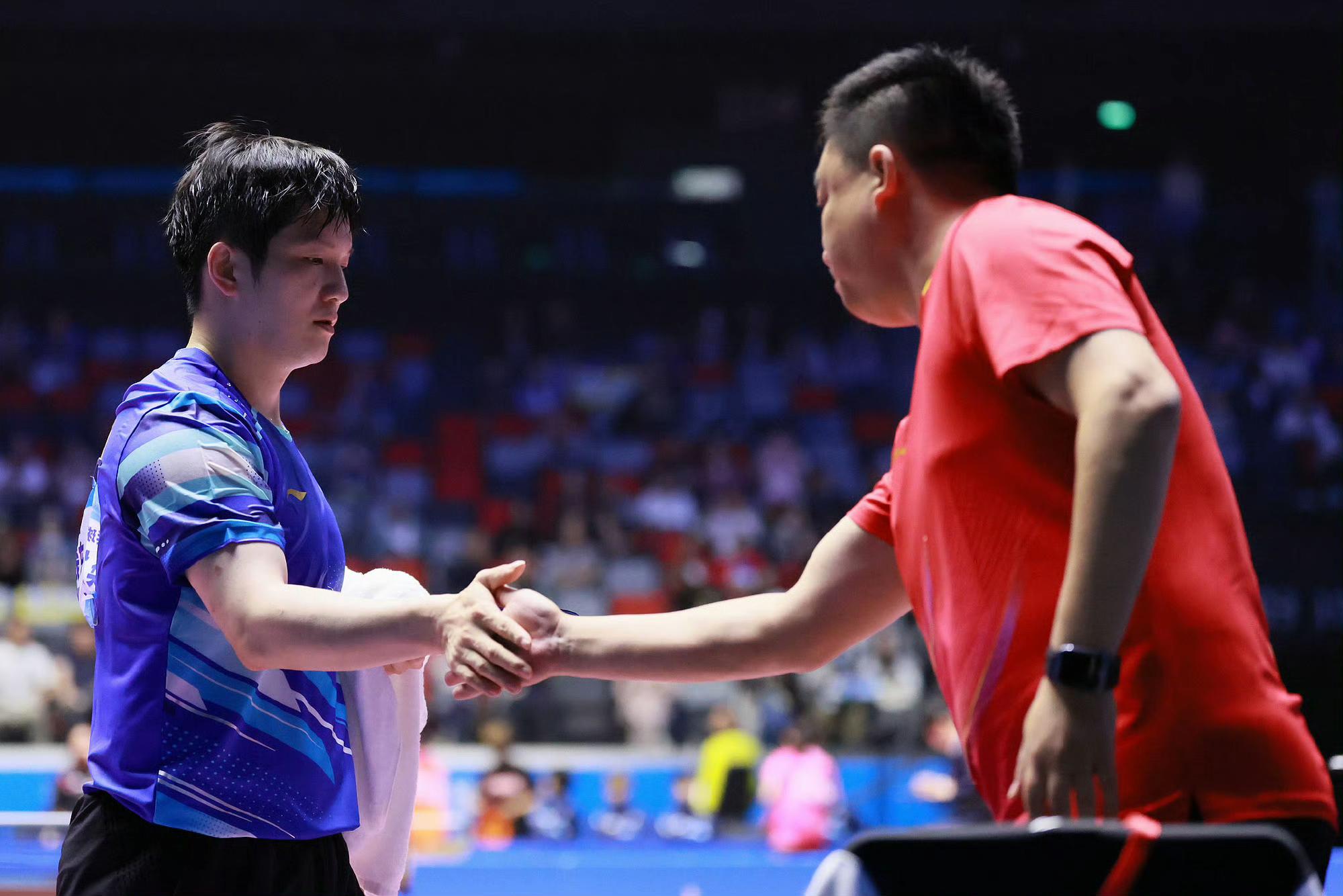 法国队绝杀日本队，樊振东扛起全队